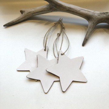 Leren kerst ster wit