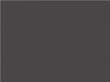 Leisteen grijs kleur 1