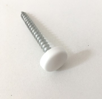 Schroef met wit plastic kapje